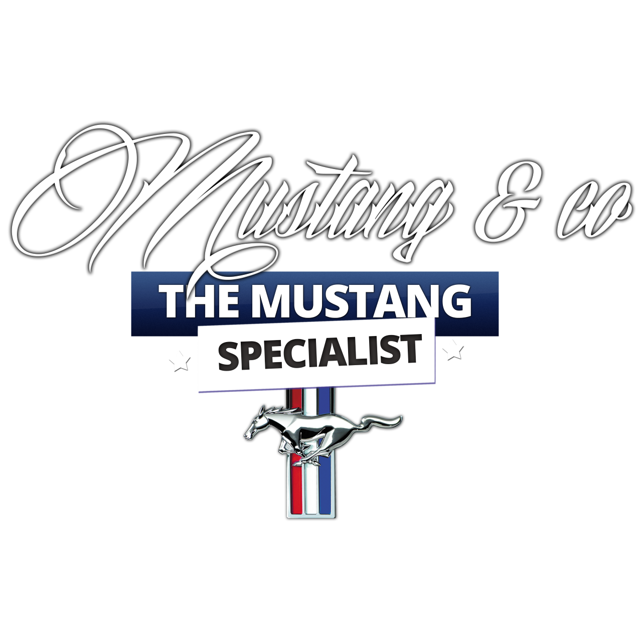 logo Mustang & Co